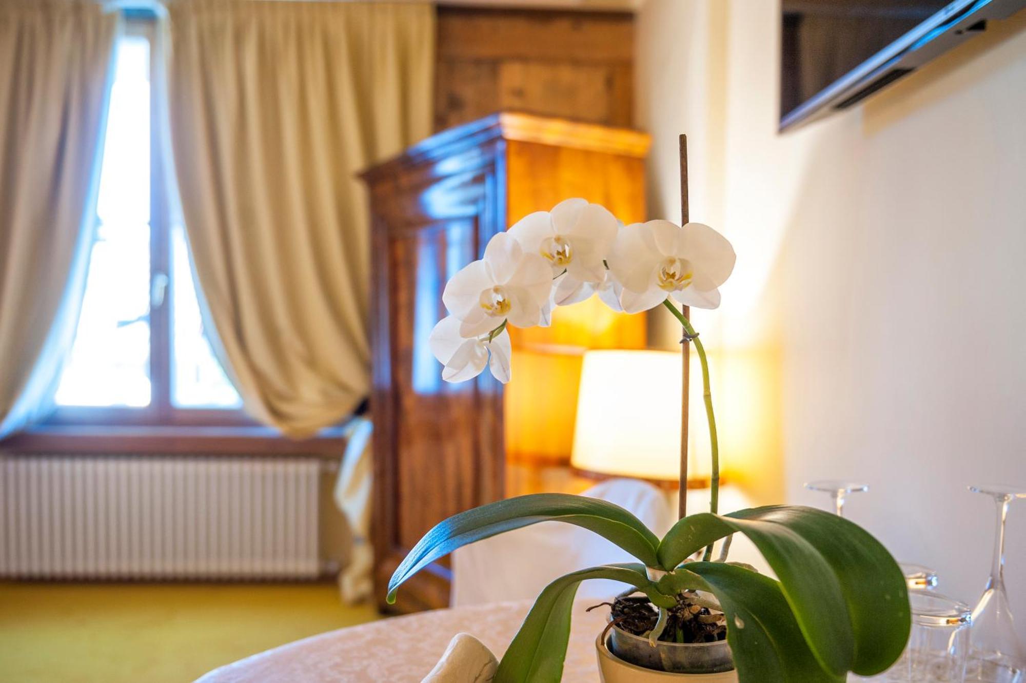Villa Orso Grigio Ronzone Buitenkant foto